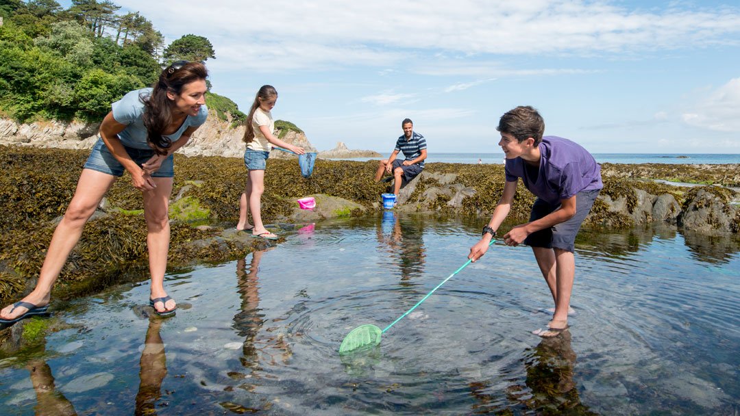 Rockpooling in Lee Bay in North Devon